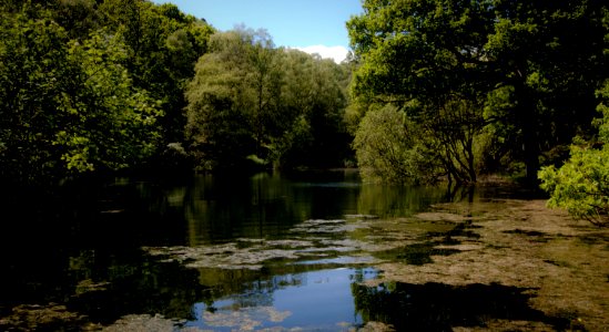 The tarn