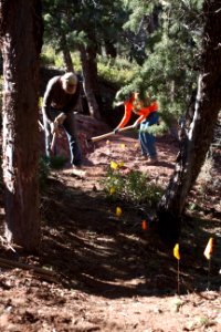 Trail Work is Done By Hand