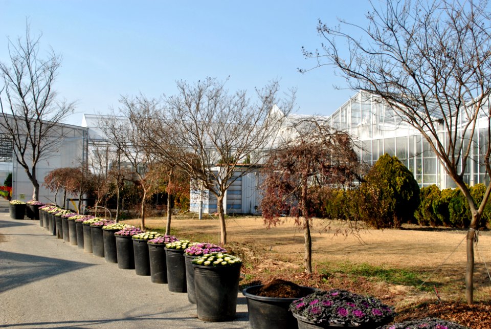 Asan Botanical Garden