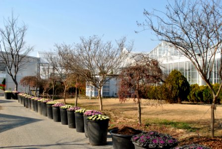 Asan Botanical Garden
