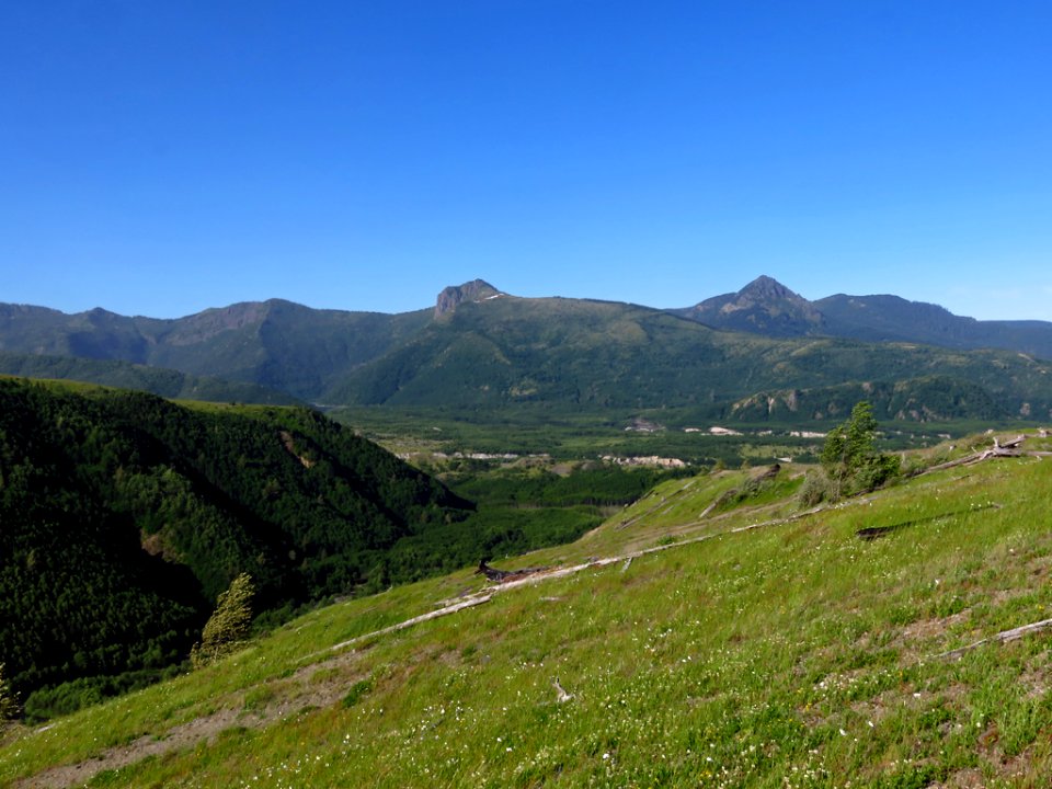 Coldwater Lake Trail at Mt. St. Helens NM in Washington