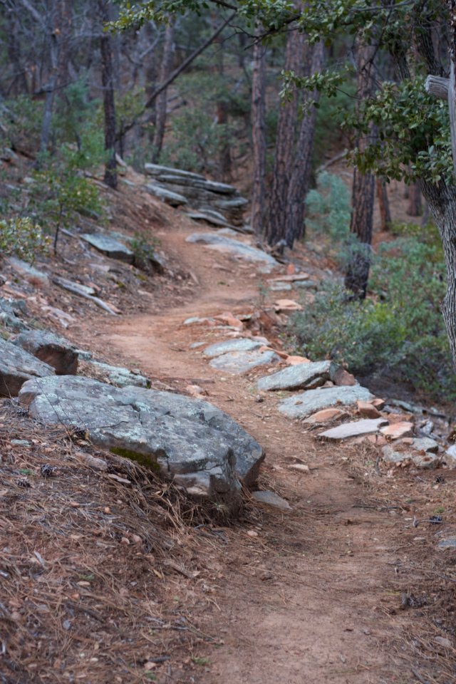 Pine Strawberry Trail 15
