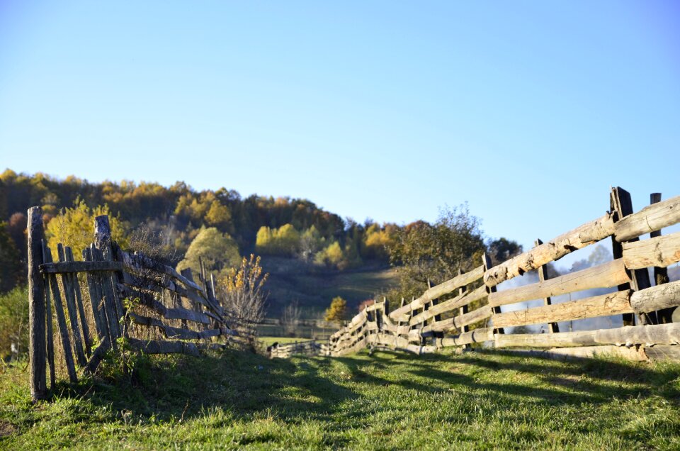 Wooden wood landscape
