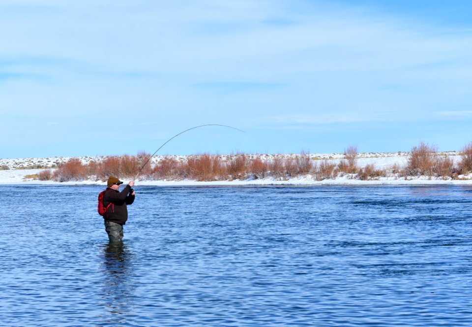 Winter time flyfishing at Seedskadee National Wildlife Refuge