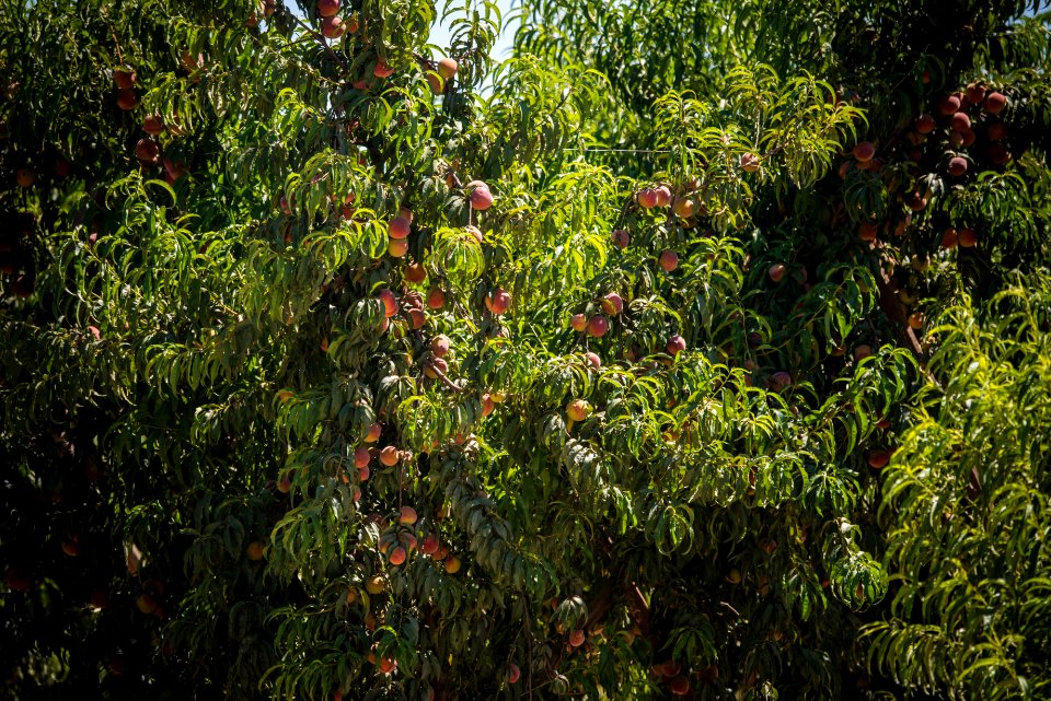 20150723-NRCS-LSC-0070