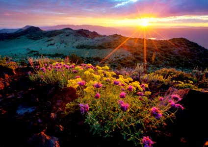 Slinkard Wilderness Study Area
