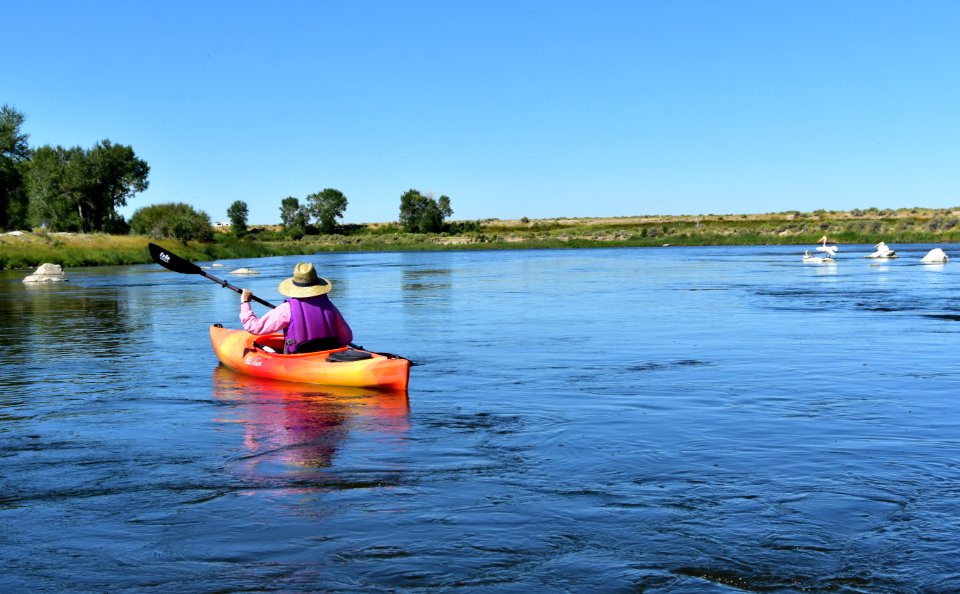 Kayaking and wildlife watching at Seedskadee National Wildlife Refuge