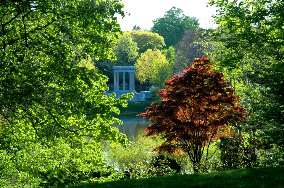 Mount Auburn Cemetery, May 2010