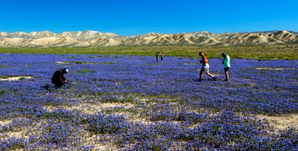 Carrizo Plain National Monument