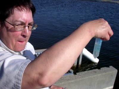 Evaluating zooplankton samples photo