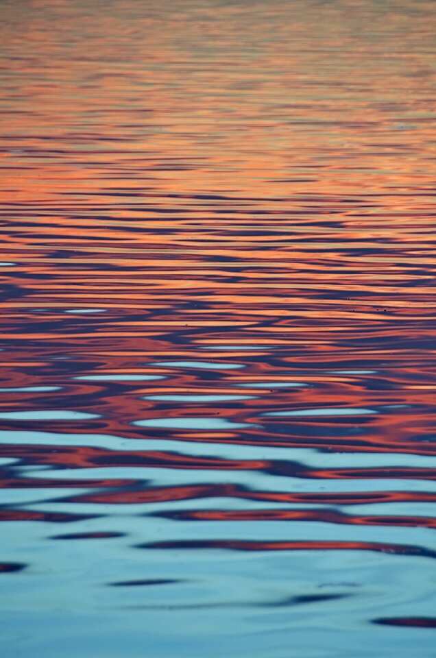 Reflection blue nature