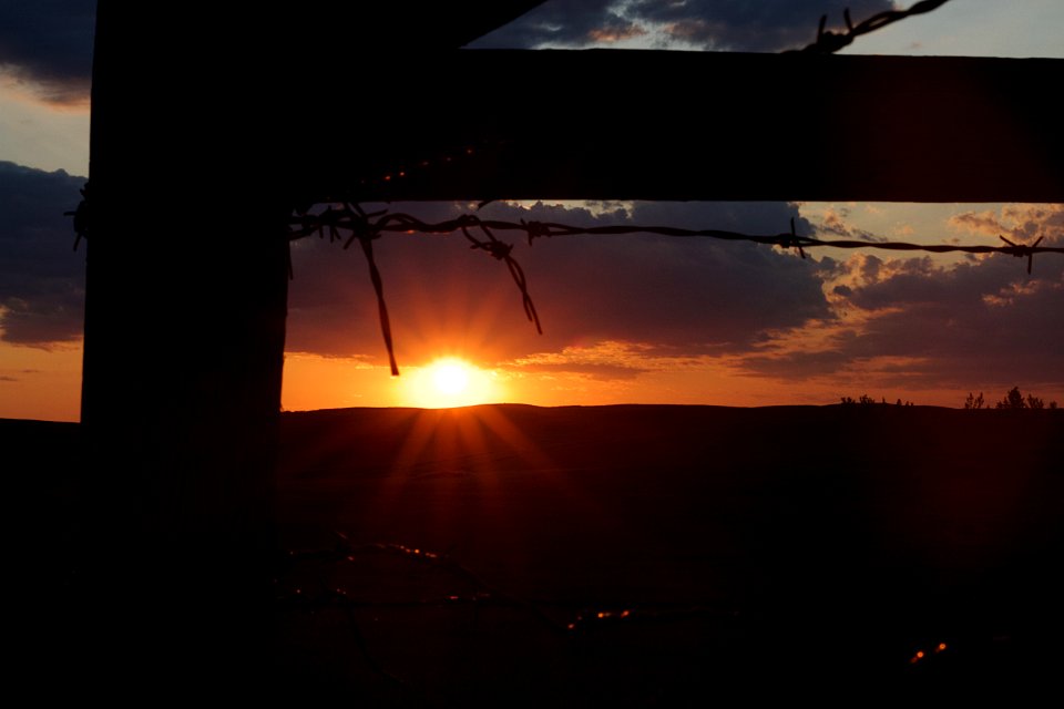 Sunset Fence