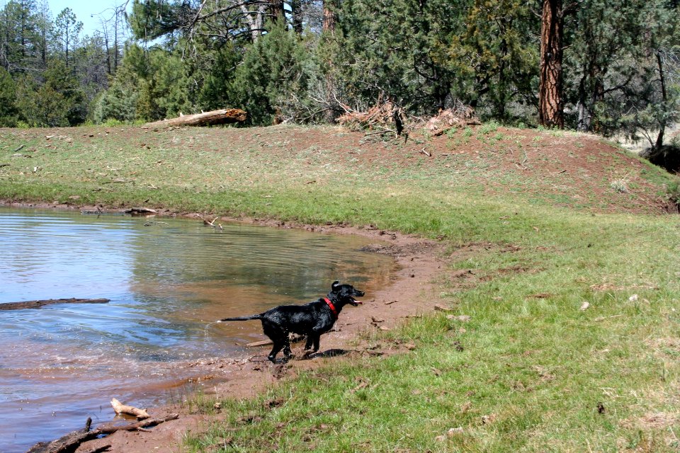 Found Me a Mudhole!