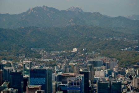 Namsan Park Spring 2016