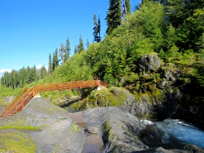 Lava Canyon Trail at Mt. St. Helens NM in WA