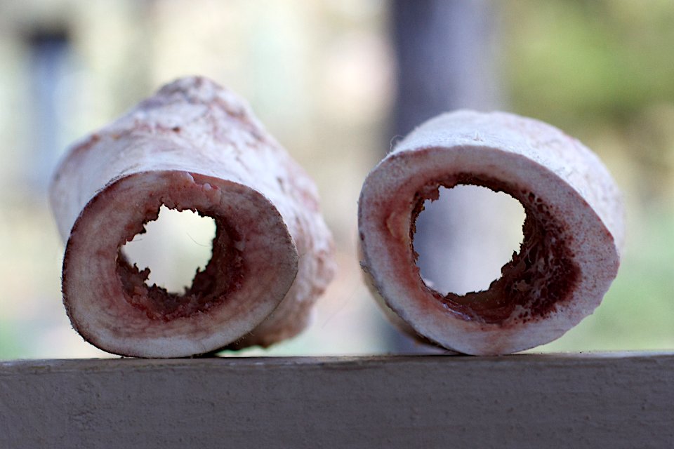 Bone-oculars