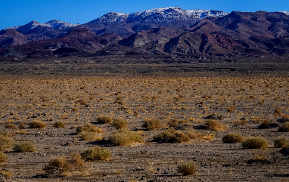 Coso Range Wilderness photo