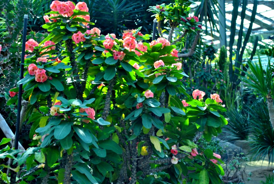 Asan Botanical Garden