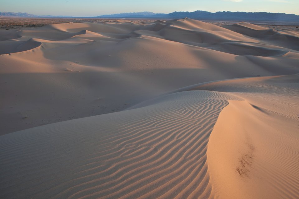 Cadiz Wilderness photo