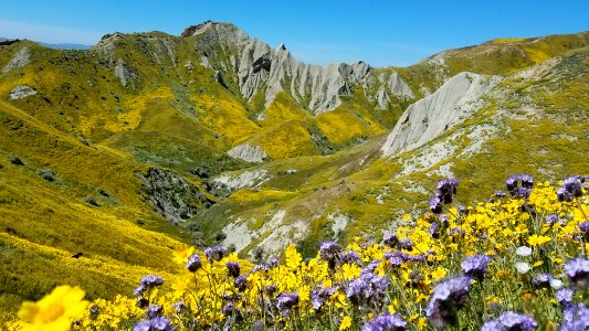 WINNER: Carrizo Plain National Monument, Bakersfield Field Office photo