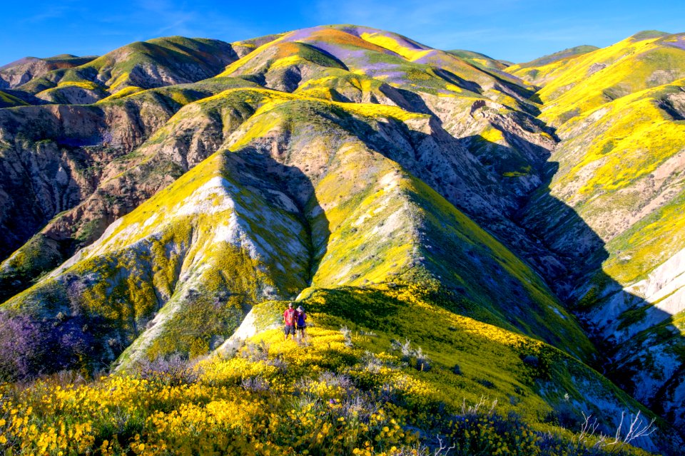 Carrizo Plain National Monument