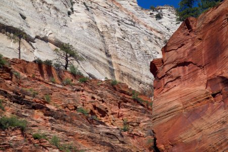 Crisscrossed Rock
