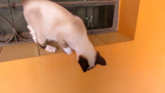 Imagem 040