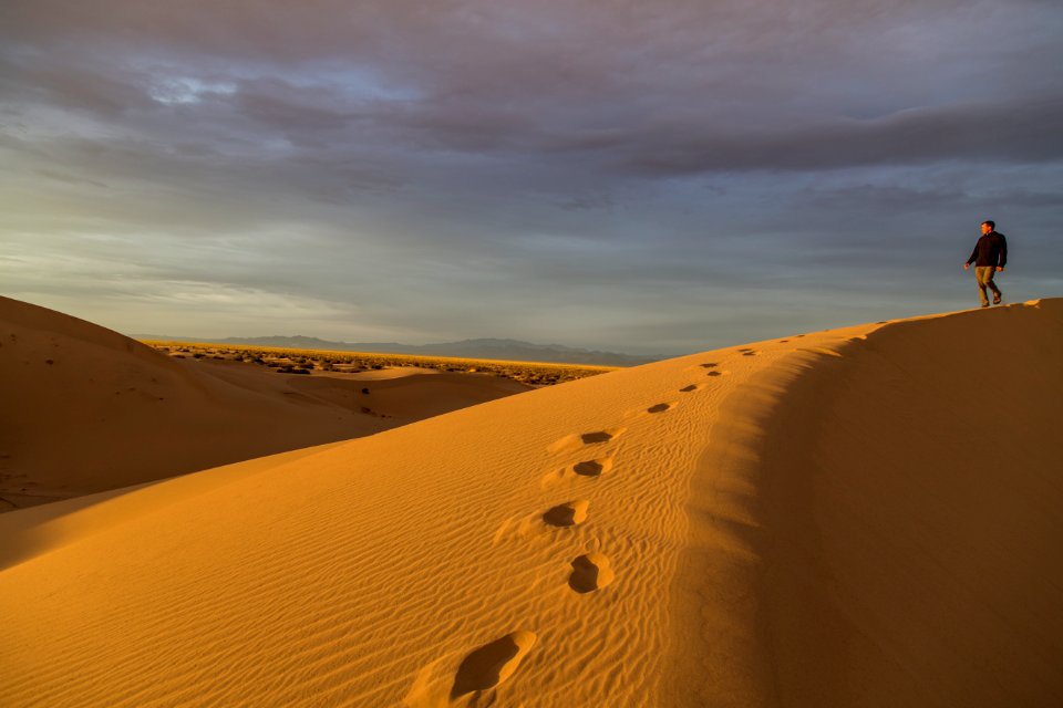 Cadiz Dunes Wilderness