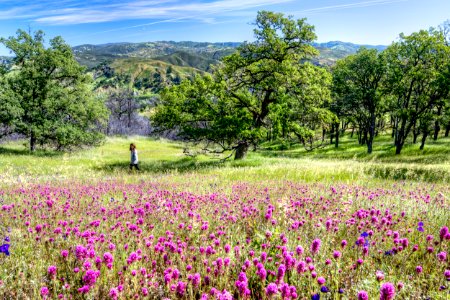 Berryessa Snow Mountain National Monument