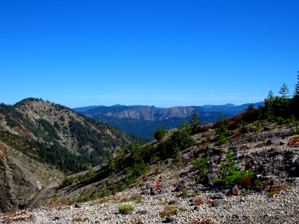 Ape Canyon Trail at Mt. St. Helens