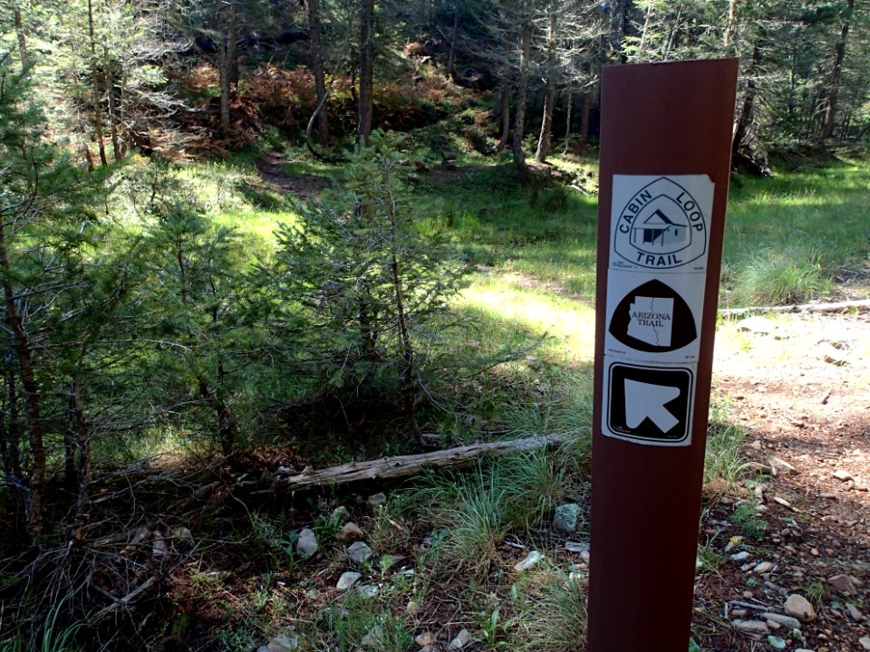 It's Both Trails!