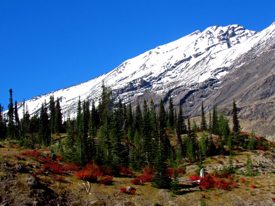 Ape Canyon Trail at Mt. St. Helens