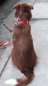 Imagem 010
