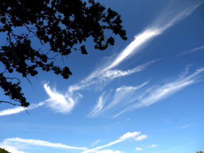 Cirrus Clouds