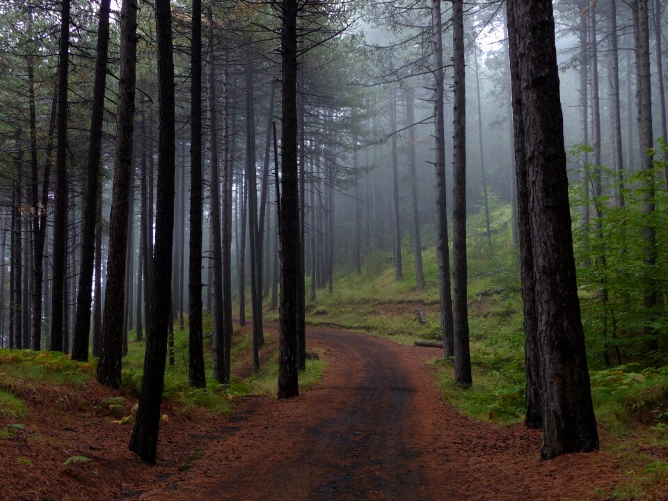 Nature landscape trail