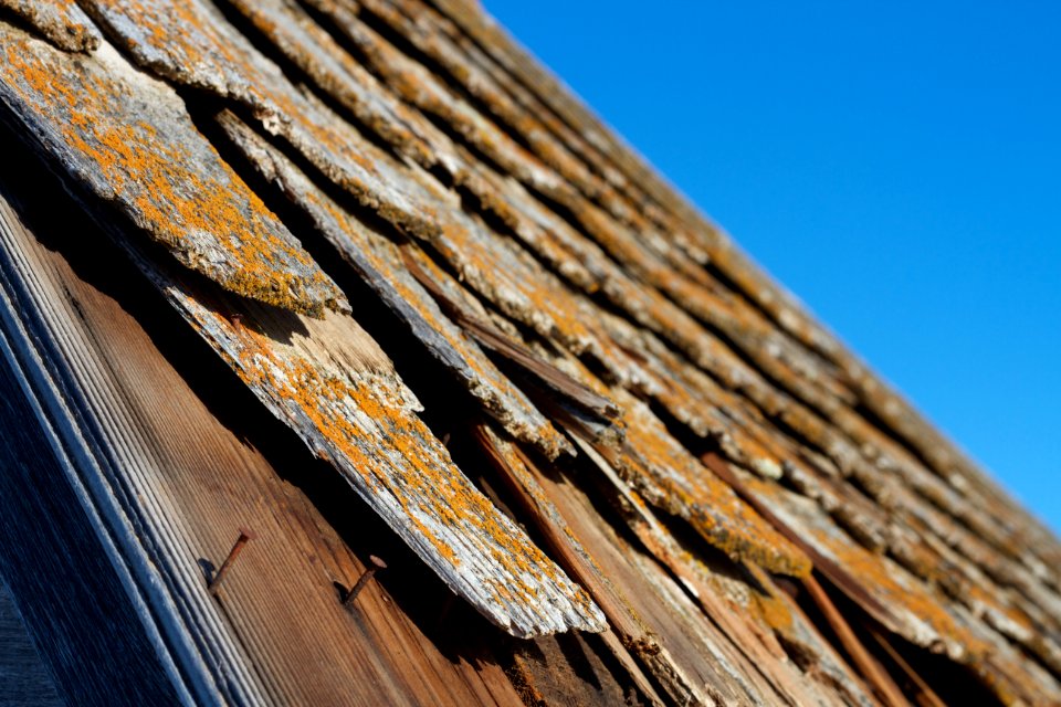 2018/365/334 Shingled / Unshingled