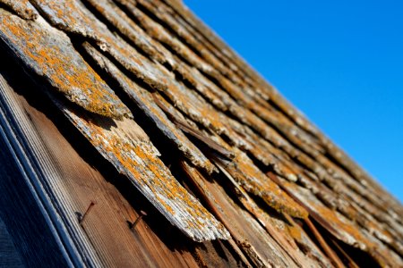 2018/365/334 Shingled / Unshingled