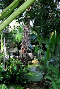 Asan Botanical Garden