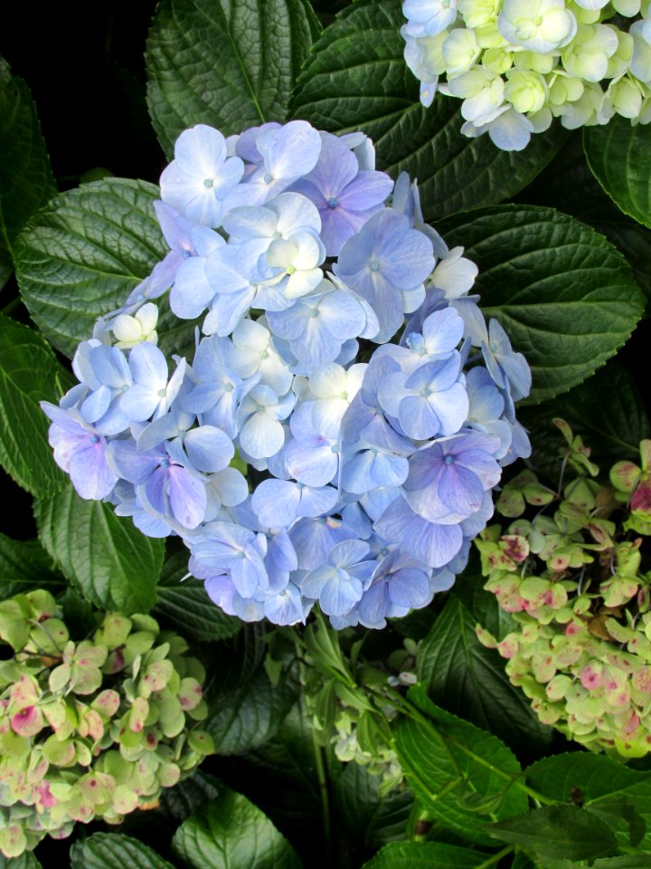 Imagem 025
