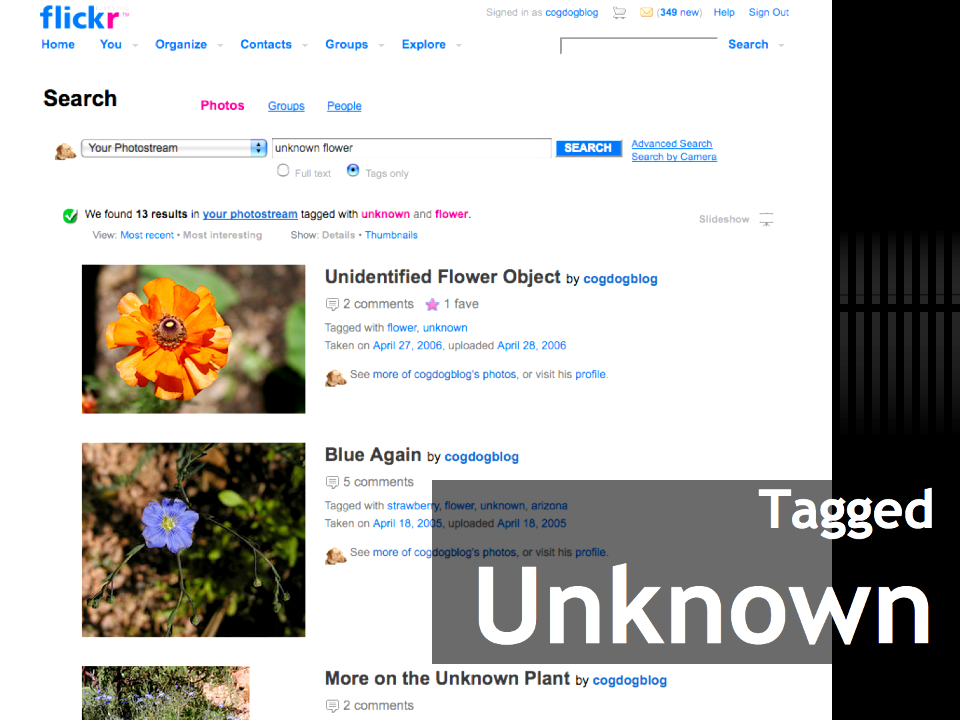 Flickr Community Helps Out