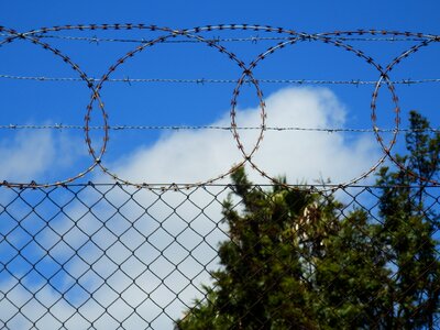 Barbed wire security protection photo