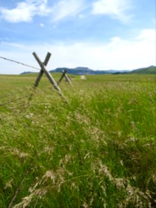 Fencing along private land
