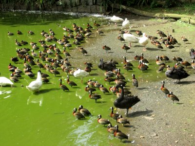 Imagem 067