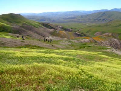 March 2017 Right Angle Canyon Wildflower Tour