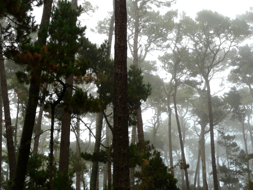 Nature landscape scenic