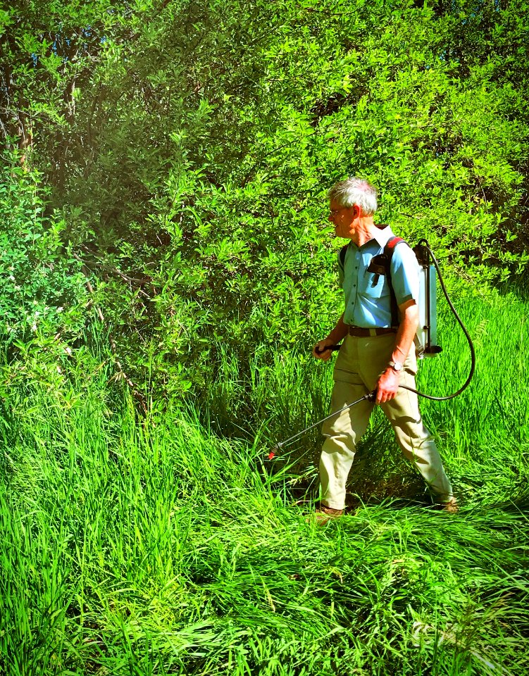 Two Ponds Tuesday Volunteer 5