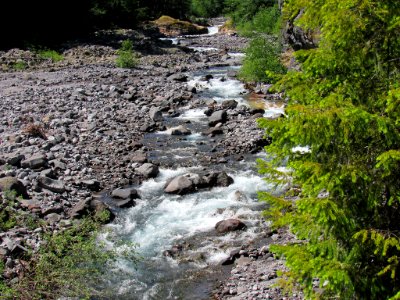 Lava Canyon Trail at Mt. St. Helens NM in WA