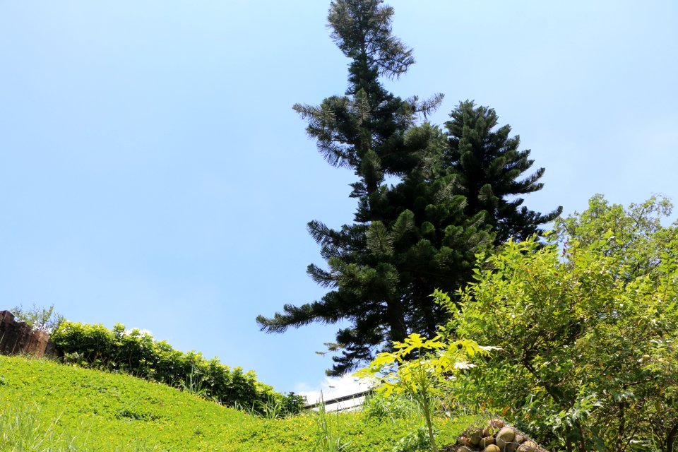 2015 07 25 0146