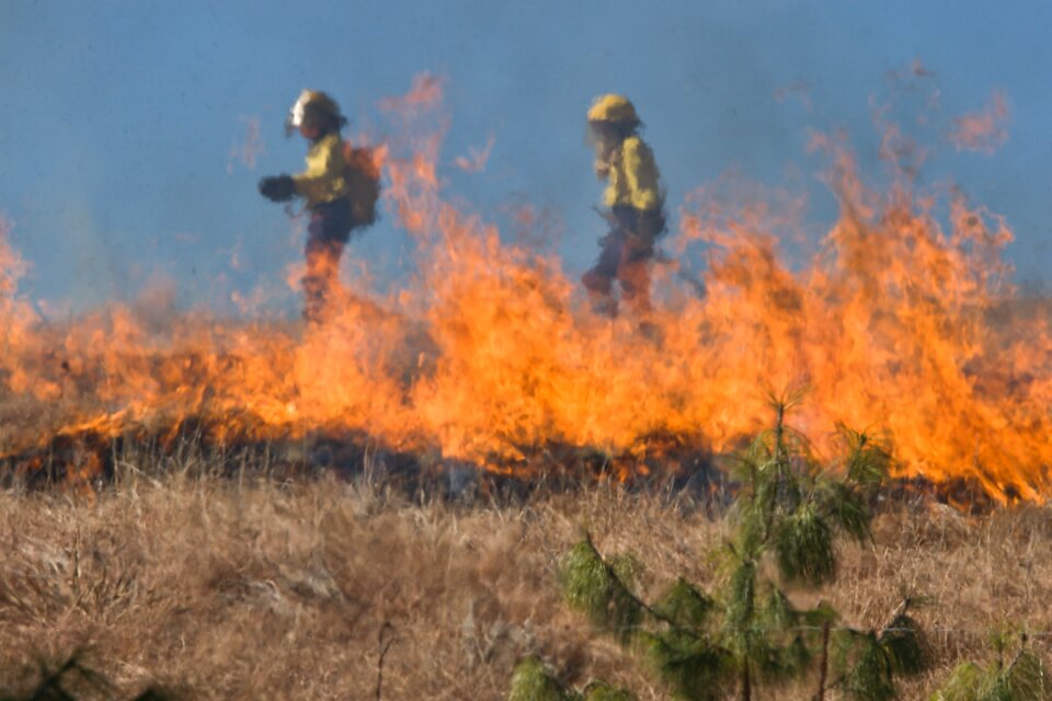 Burn flame danger photo