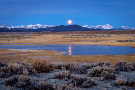 WINNER: Long Valley in the Bishop Field Office